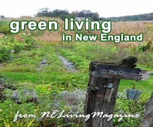 Green Living