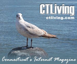 CT Living - Sea Bird