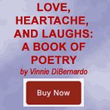 Vinnies Vermont Life