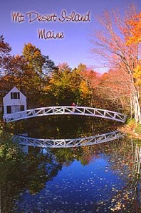 Maine Fall Foliage 