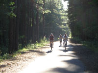 NE Bike Paths and Trails