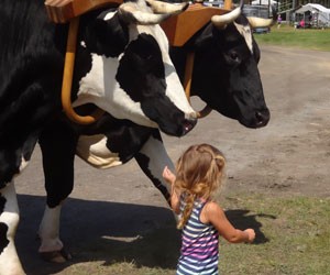 NE Agricultural Fair