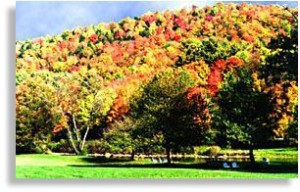 VT Fall Foliage View