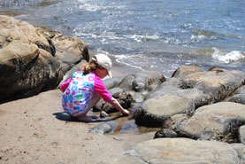 Rocky Maine Beaches