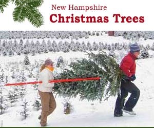 NH Tree Farms