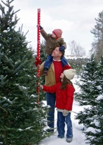 New England Christmas Tree Farms