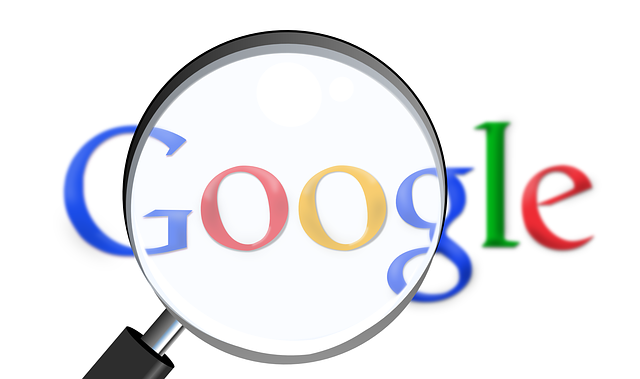 Google Site Search