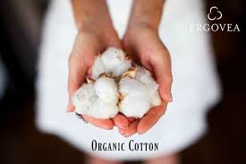 Natural Cotton Bedding