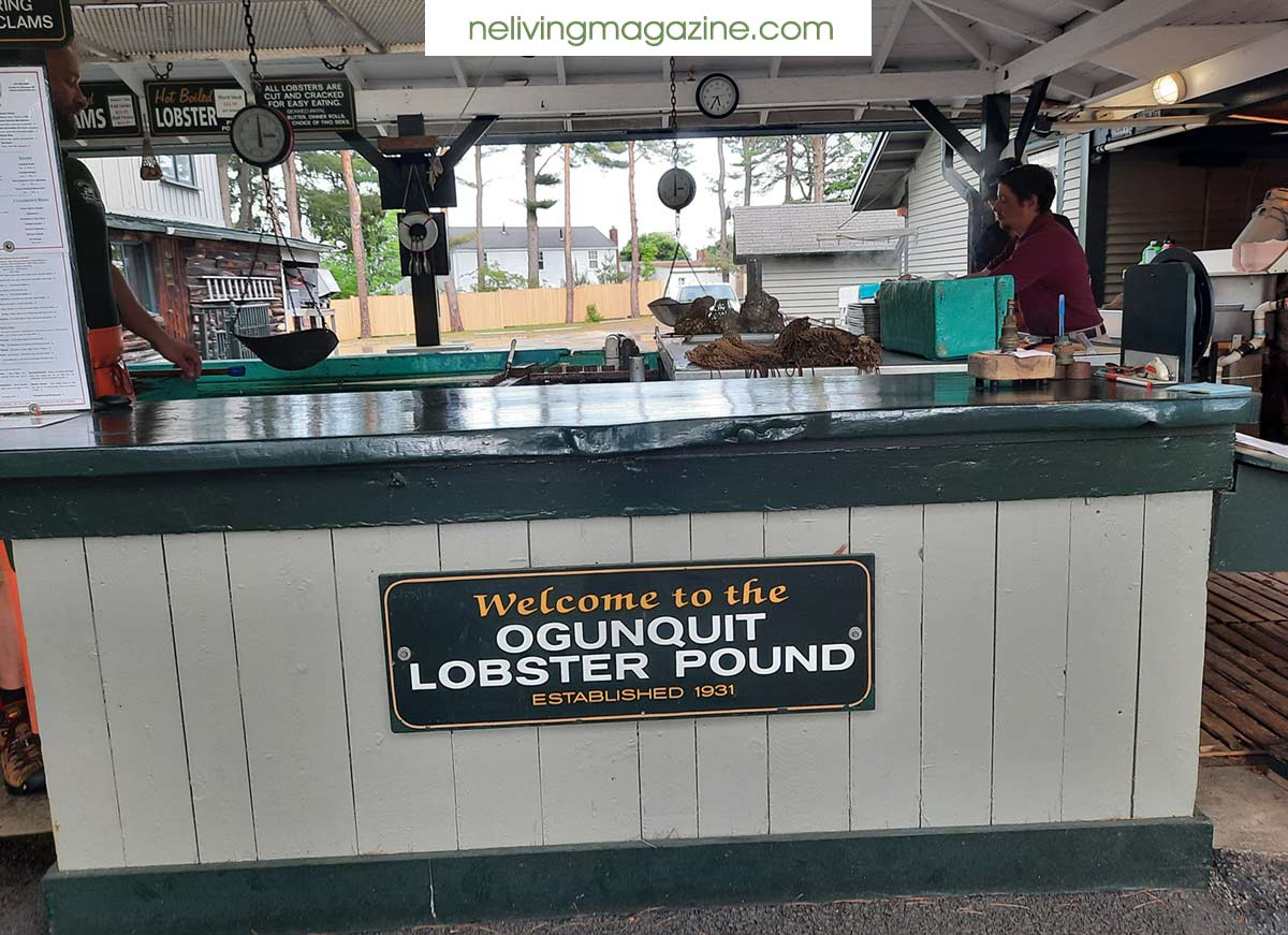 Ogunquit Lobster Pound