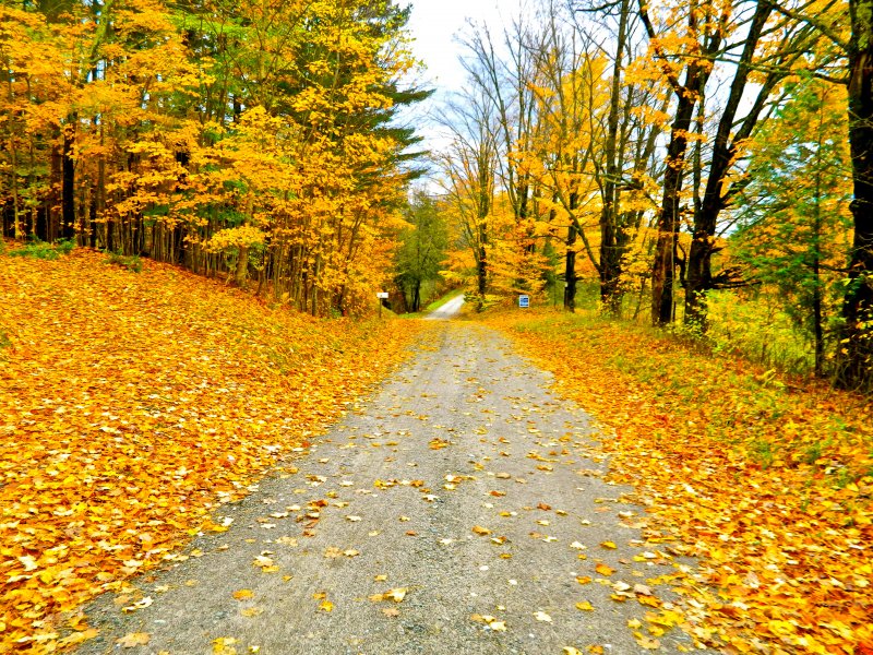 New England Autumn Colors