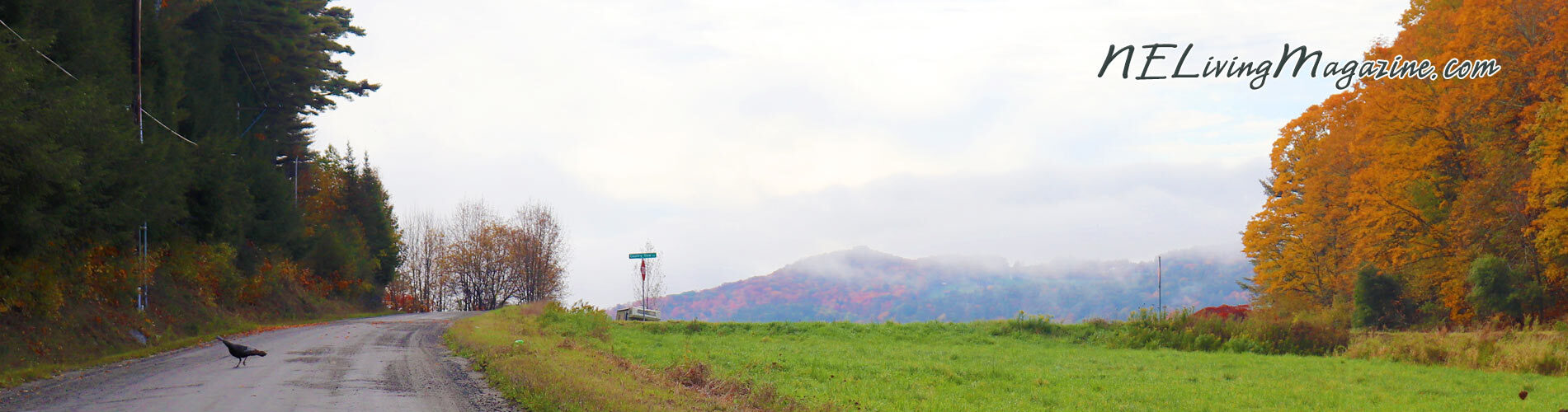 Autumn Vacation in New England Fall Foliage Scene