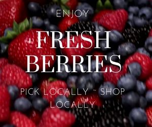 PYO Fruit Farms Berry Picking