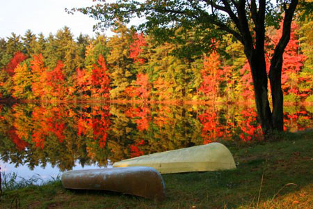 Maine Fall Foliage View