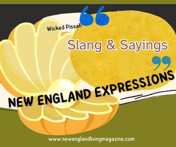 New England Expressions