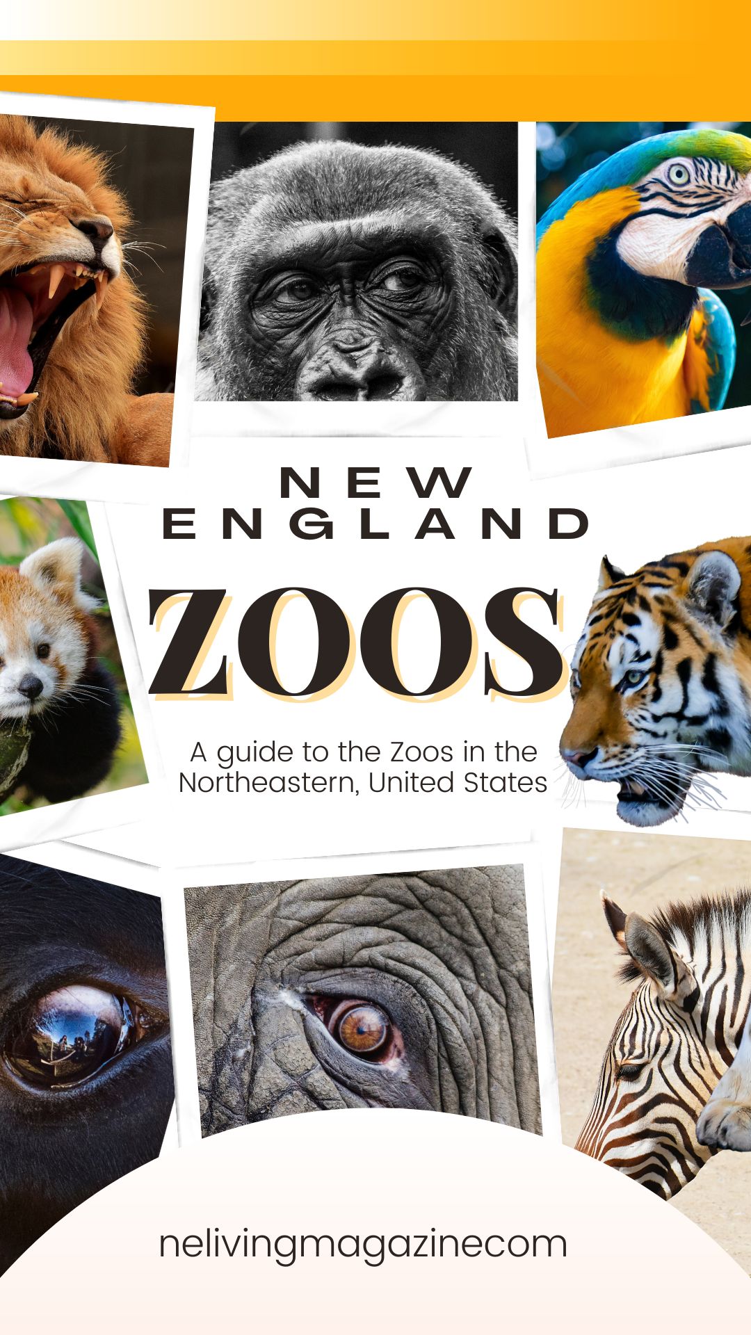 Guide to New England Zoos